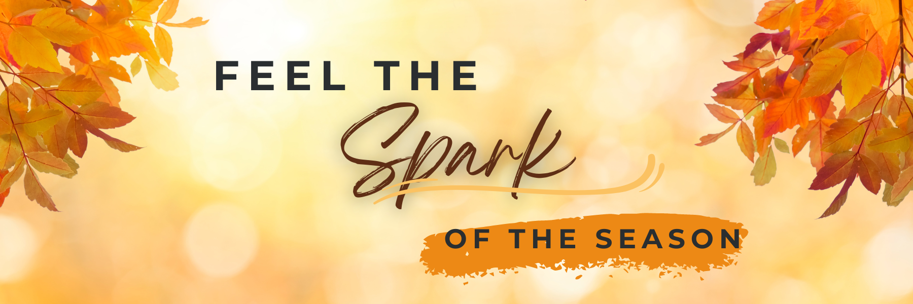 Add Spark to the Season with the September New Releae